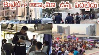 Kuwait police checking in Indian workers  అకామ ఉన్న వదల్లేదు  Kuwait latest news@gkbteluguvlogs