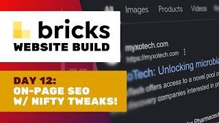 Day 12 On-Page SEO and Google Search Console  Bricks website build MyxoTech