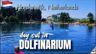 Dolfinarium Harderwijk Netherlands  Most fascinating indoor and outdoor marine mammals attractions