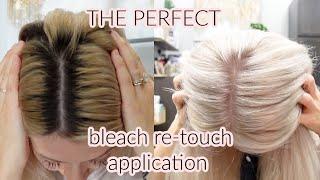 20 PRO TIPS for the PERFECT Platinum Re-touch  Wholy Hair