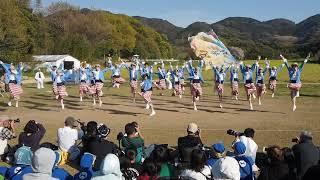 舞龍人・菜の花よさこい（お祭り広場）