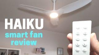 Haiku L Series Smart Fan Review Alexa turn on the fan