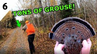 I LIMITED OUT In 30 Minutes While GROUSE HUNTING In Northern Ontario