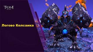 Логово Келсаика гайд Tera Online