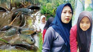 TIGA BIDADARI DESA BERBURU IKAN DI PARITAN SAWAH