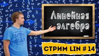 Учеба в Чехии №14 Линейная алгебра для студентов чешских ВУЗов. Решаем примеры MARAST FIT ČVUT.