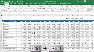 Horizontal Scrolling in Excel  Excel Tricks