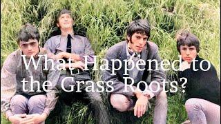 What Happened to The Grass Roots?