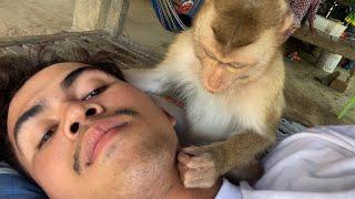 ASMR Monkey Grooming Is The Long Time To Grooming Me Very Nice Zueii