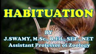 HABITUATION