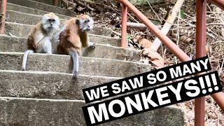 CRAZY EXPERIENCE at Penang Hill  Malaysia Travel Vlog
