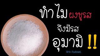 ทำไม ผงชูรส จึงมีรสอุมามิ?  Arin Podcast