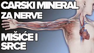 NAJVAŽNIJII MINERAL PROTIV LOŠE CIRKULACIJE I EDEMA Dr Mihajlović