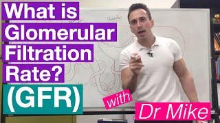 Glomerular Filtration Rate GFR  Renal System