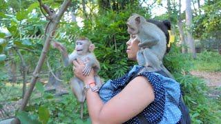 New boy Carlo cry reject when mom try to teach him how climb the tree. KT decided put Carlo in....