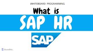 What is SAP HR Explained  Introduction to SAP HCM Overview & Basics