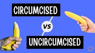 Circumcised vs Uncircumcised Animation Video Puberty for Boys Stages