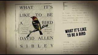 What Its Like to Be a Bird A Conversation with David Sibley