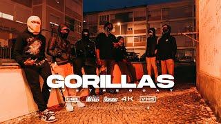 VVSTHEGOAT - Gorillas Official Video