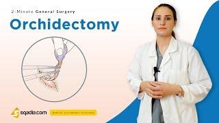 Orchidectomy  Surgery Video Lectures  Medical Student Education  V-Learning