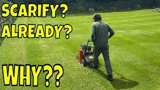 SCARIFYING to REDUCE Weed Grass Content In your Lawn + Catch Up At Other Jobs