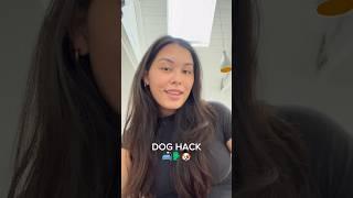 hack to get dog hair off your sofa️ #shorts