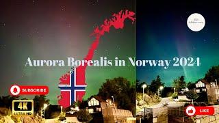 Aurora Borealis in Norway 2024  Mesmerizing 4K Northern Lights & Travel Vlog  Shutterbug