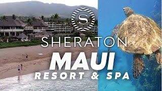 Sheraton Maui Resort & Spa  - Full Review