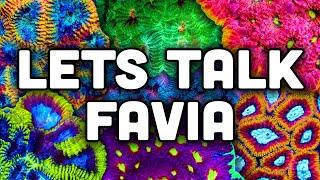 FAVIA Your New Favorite Coral Tips Tricks and TSA Favorites