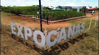 Tecnologias para construção da fertilidade do solo em destaque na Expocanas