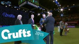 Utility Group Presentation and Winners Interview  Crufts 2015