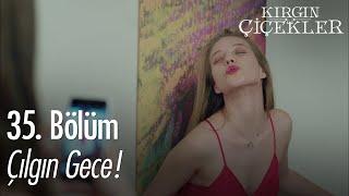 Defne ve arkadaşlarının çılgın gecesi - Kırgın Çiçekler 35. Bölüm