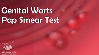 STD  Infection HPV  Pap Smear Test Human papilloma virus #std