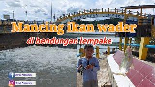 Mancing ikan wader ikan putih di bendungan lempake