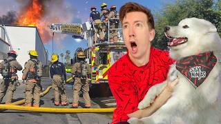 Firefighters Can’t Rescue My Dog