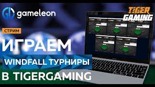 Обучающий стрим по Spin&Go. Играем WindFall турниры в TigerGaming