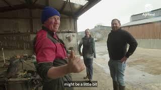 George Goes Dairy Farming Using DBI in Co. Longford Subtitled