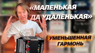 НЕ ОЖИДАЛ ТАКОГО ЗВУКА  УМЕНЬШЕННАЯ ГАРМОНЬ