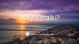 Why learn Wayuunaiki?