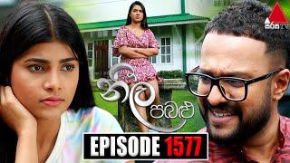 Neela Pabalu නීල පබළු  Episode 1577  24th July 2024  Sirasa TV