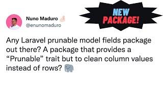 Laravel Prunable Fields Package Cleanup Old DB Records