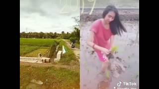 Video Hot Offer Cewek Seksi Dan Cantik Lagi Tanam Padi Di Sawah Kampung Terbaru