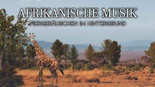 Afrikanische ethnische Entspannungsmusik im Safari-Stil mit Tiergeräuschen im Hintergrund