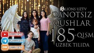 QANOTSIZ QUSHLAR 185 QISM TURK SERIALI UZBEK TILIDA  КАНОТСИЗ КУШЛАР 185 КИСМ УЗБЕК ТИЛИДА