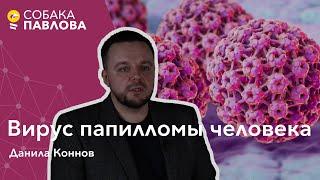 Вирус папилломы человека -Данила Конноврак шейки матки вакцинация от ВПЧ девятивалентная вакцина