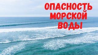 Почему морская вода соленая и почему её нельзя пить?