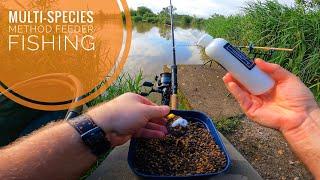 Multi-Species Method Feeder Fishing 
