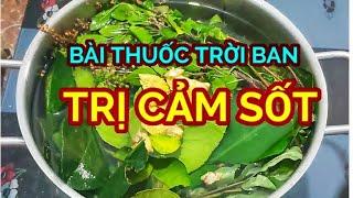 Bài Thuốc Lá XôngTRỊ CẢM ĐAU ĐẦU NÓNG NGOÀI RÉT TRONG..Tác dụng nhanh hơn thuốc và lưu ý khi xông