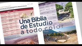 NVI BIBLIA DE ESTUDIO ACTUALIZADA TEXTO 2022 - LETRA GRANDE