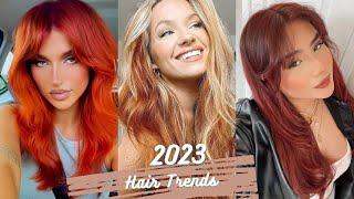 Hot Summer 2023 Hair Ideas To Try NOW